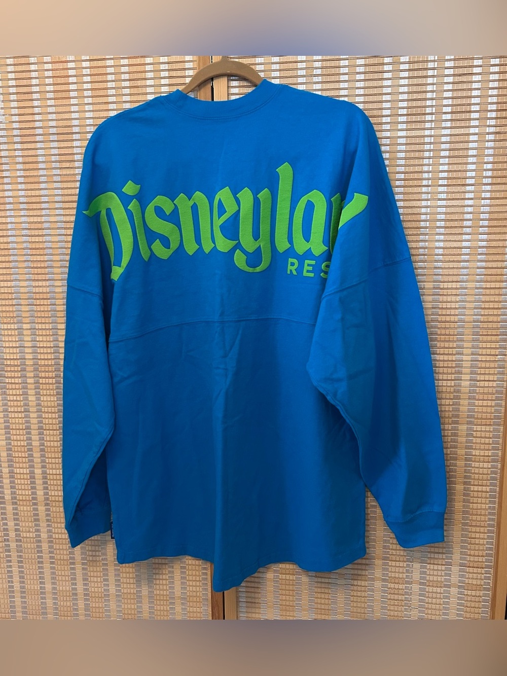 Disneyland spirit jersey large NWT
